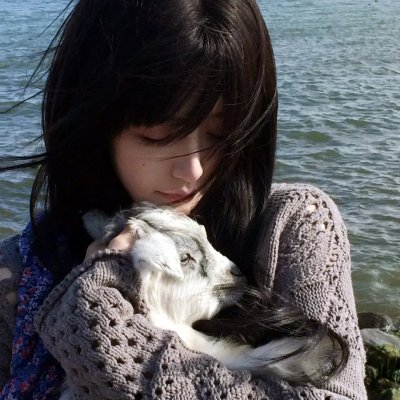 金牌制作人我咋亏成票房教父了